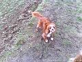 2011-02-05 07